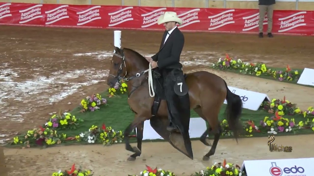 NOCHE DE ARREBOLES DE LA PRIMAVERA, SEGUNDO PUESTO YEGUAS  48 A 60 MESES P3 EXPOORIENTE GRADO A 2026