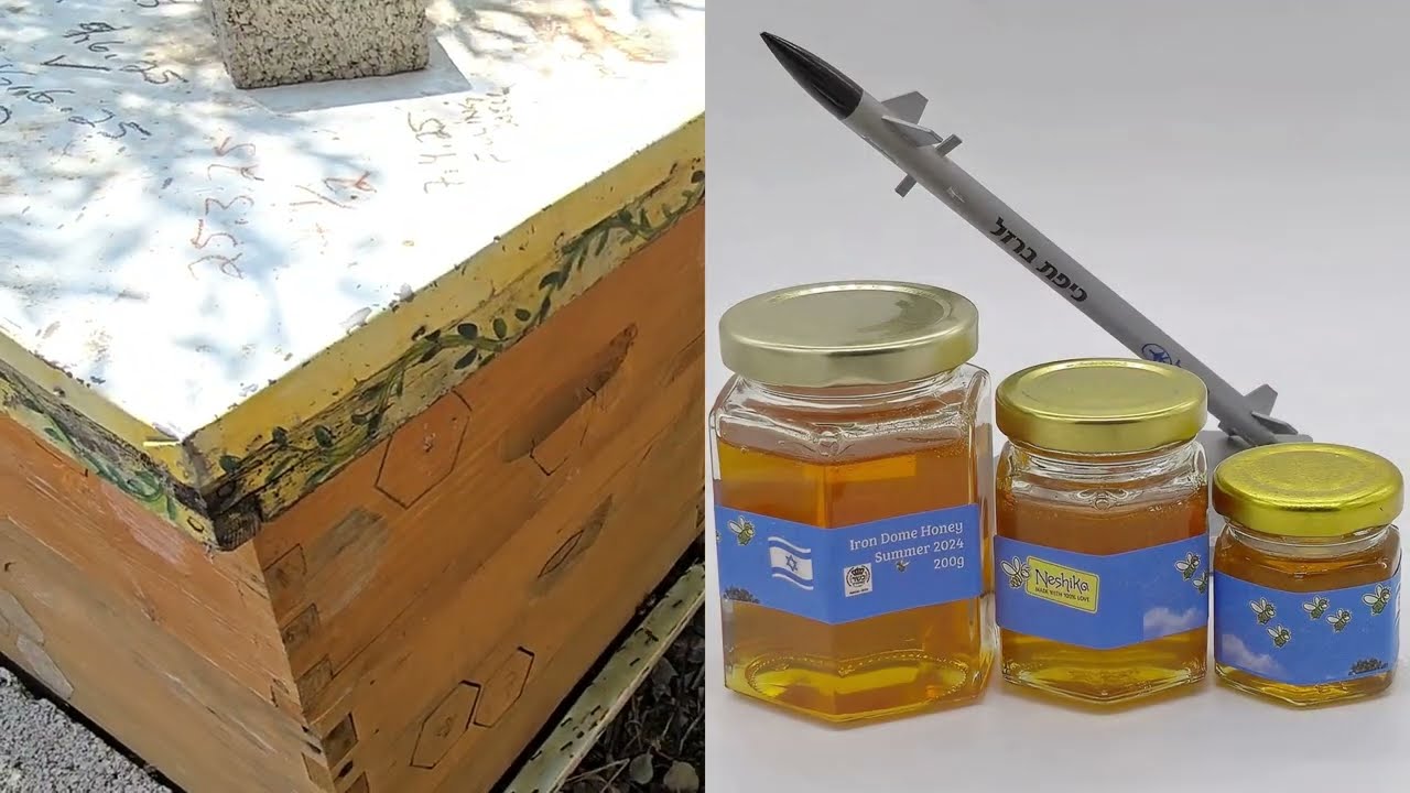Buzz, Boom, Repeat: Beekeeping on the Edge of War