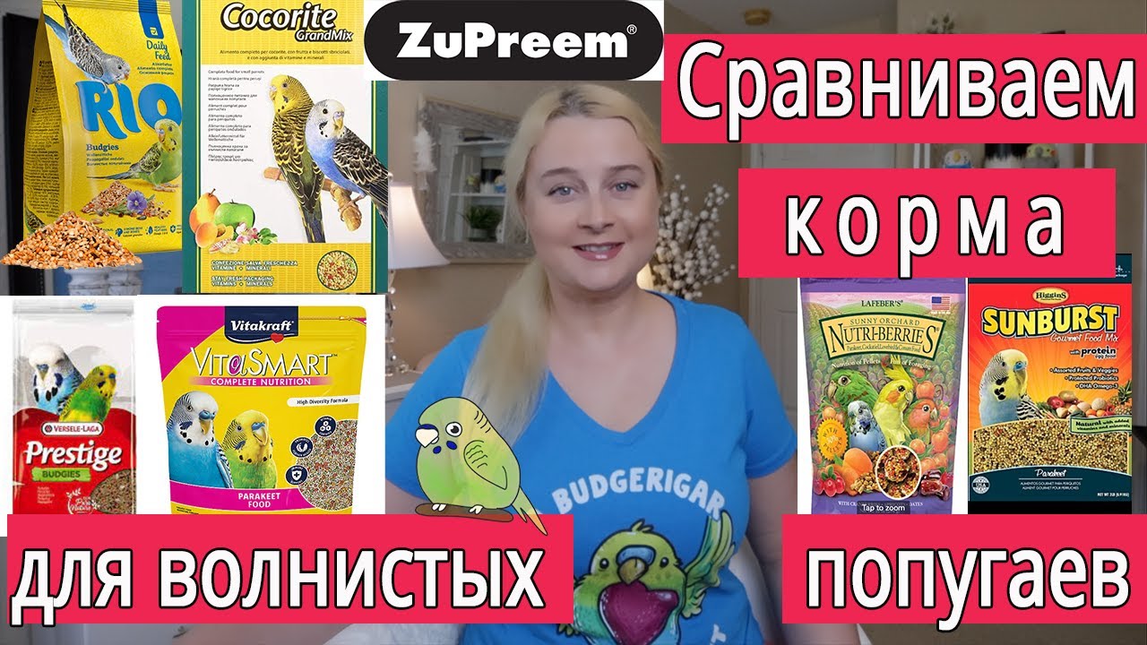 ОБЗОР КОРМОВ ДЛЯ ВОЛНИСТЫХ ПОПУГАЕВ | корм РИО Престиж Падован Фиори Витакрафт Vitacraft