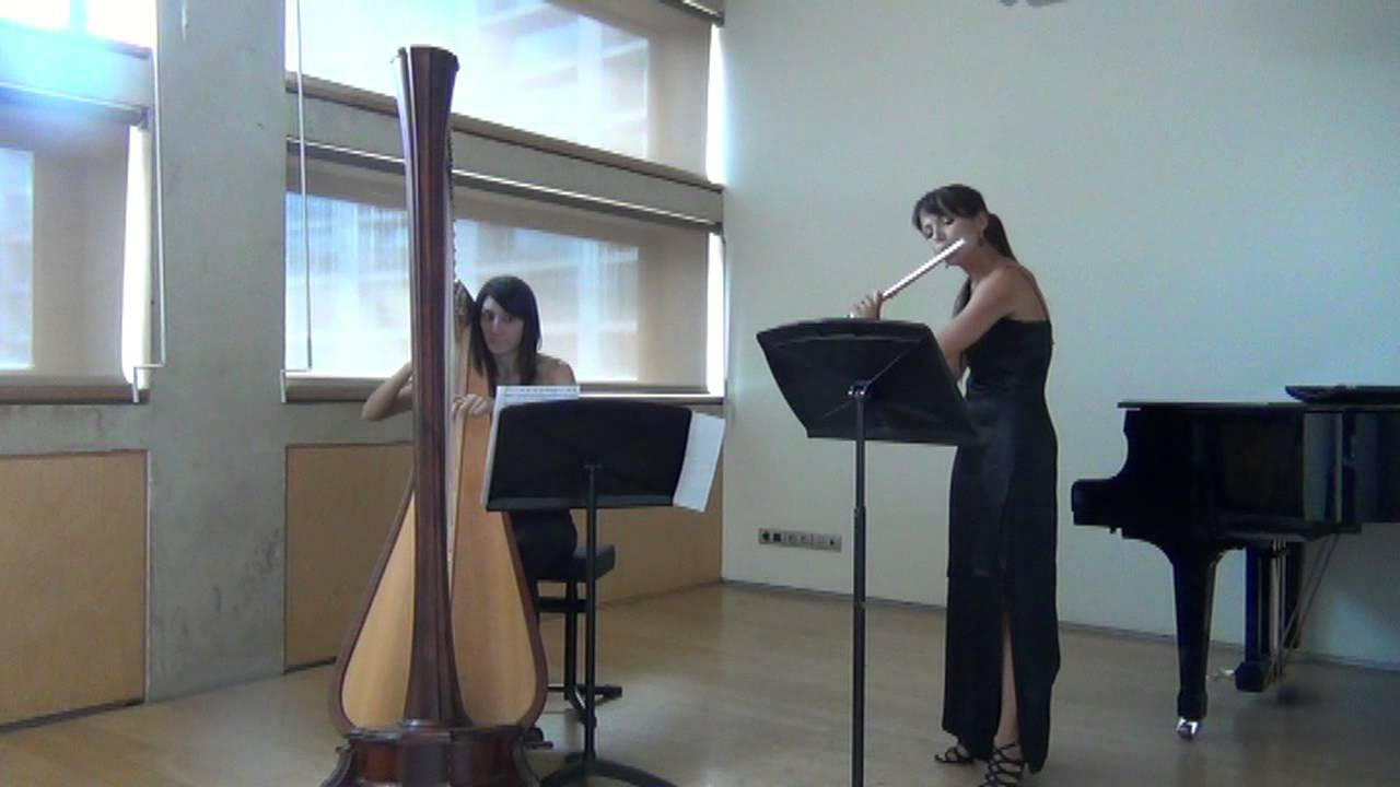 G. Donizetti - Sonata for Flute and Harp