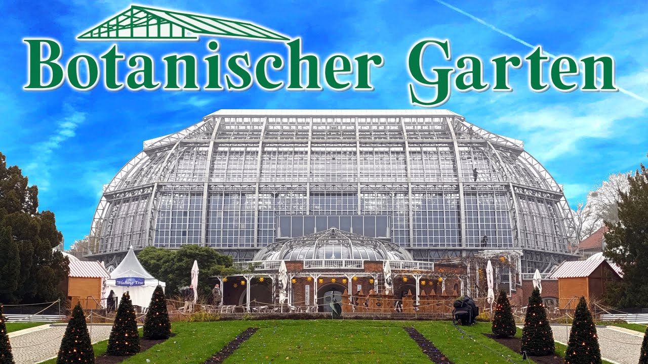 Botanischer Garten - Berlin November 2024