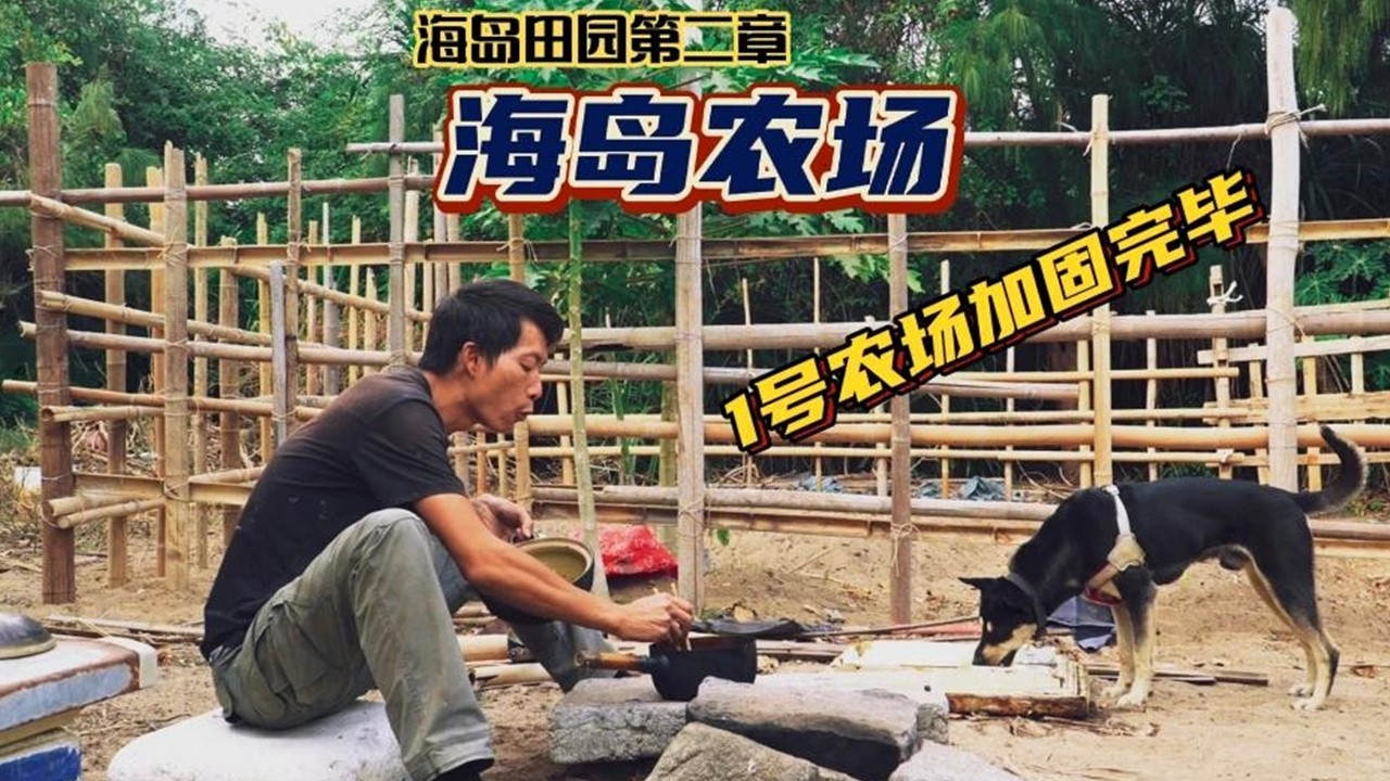 【海島農場番外特輯】1號農場修復完畢 過程很廢手 但堅如盆食 #歡迎光臨我的生活 #荒野搭建 #田園生活樂趣多#vlog#戶外#探險#野外求生#野外生存#荒野探險#荒島求生