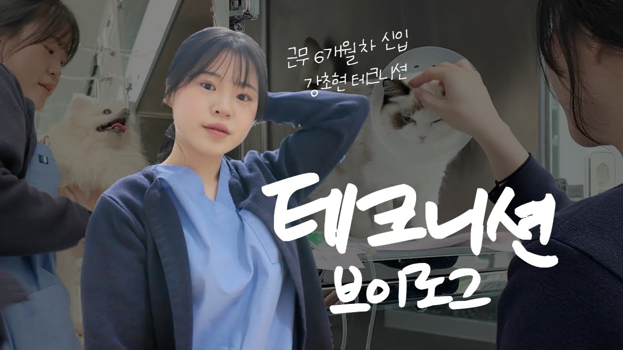 근무 6개월차, 신입 테크니션은 어떤 일을 할까? 브이로그 vlog