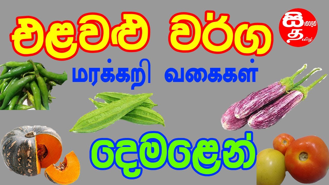 Elawalu warga demalen | එළවළු වර්ග දෙමළෙන් | vegetables names in tamil | vegetables name |vegetables