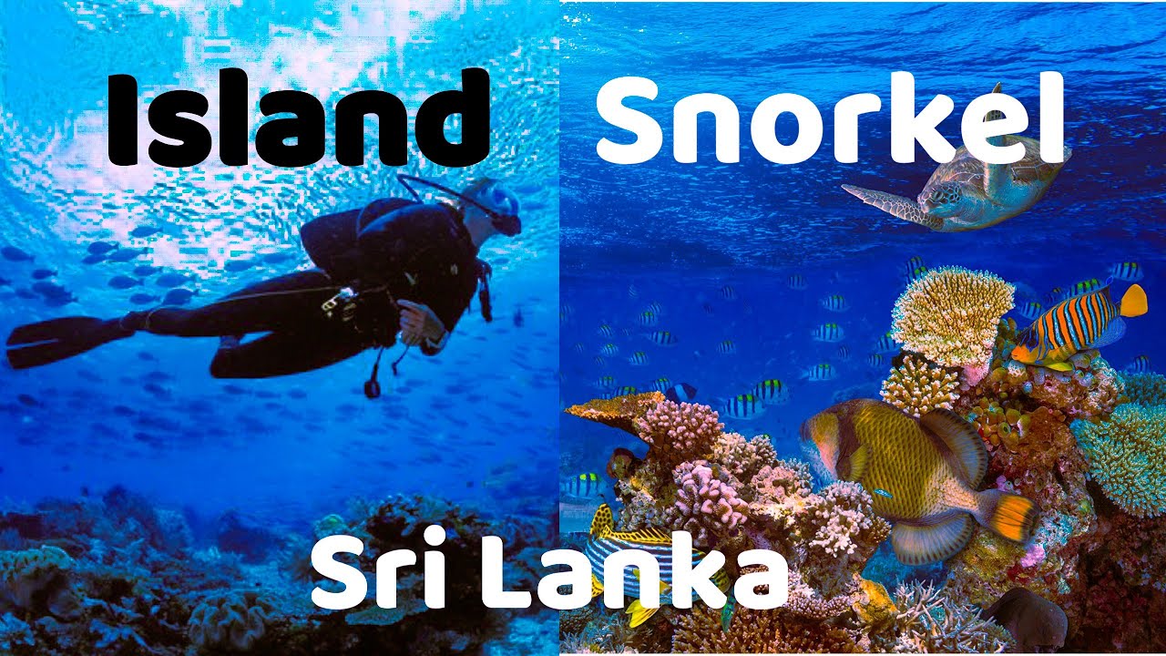 Snorkeling Trincomalee | Around the Sri Lanka |  #travel #srilanka #downsouth 