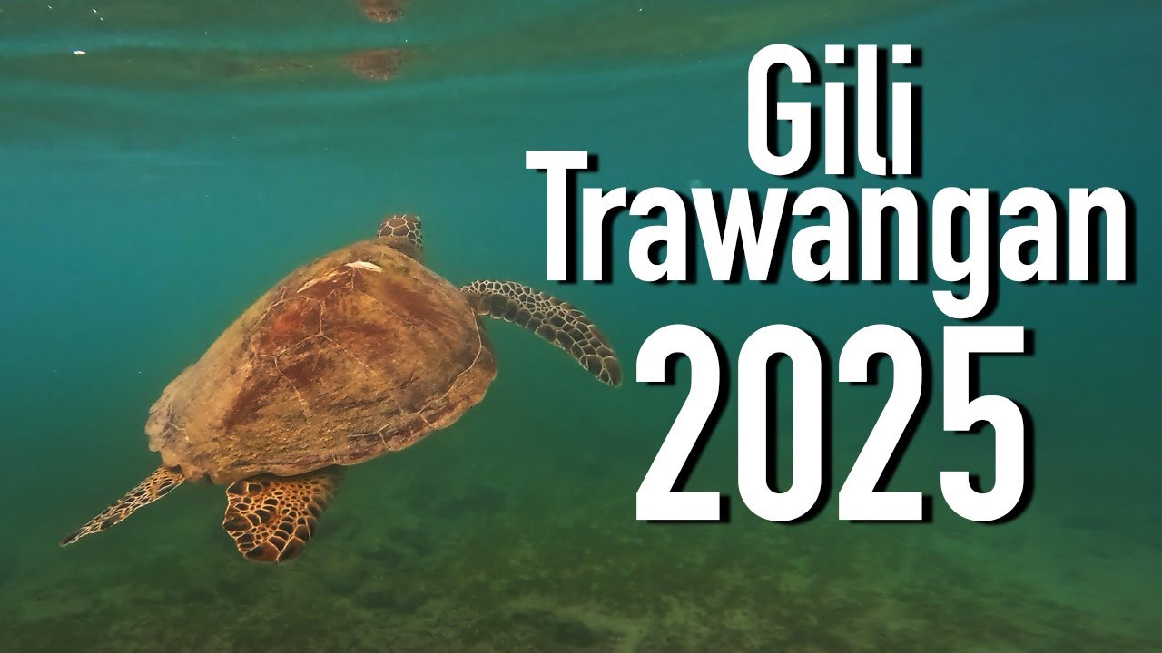 Gili Tranwangan (Indonesia 2025)