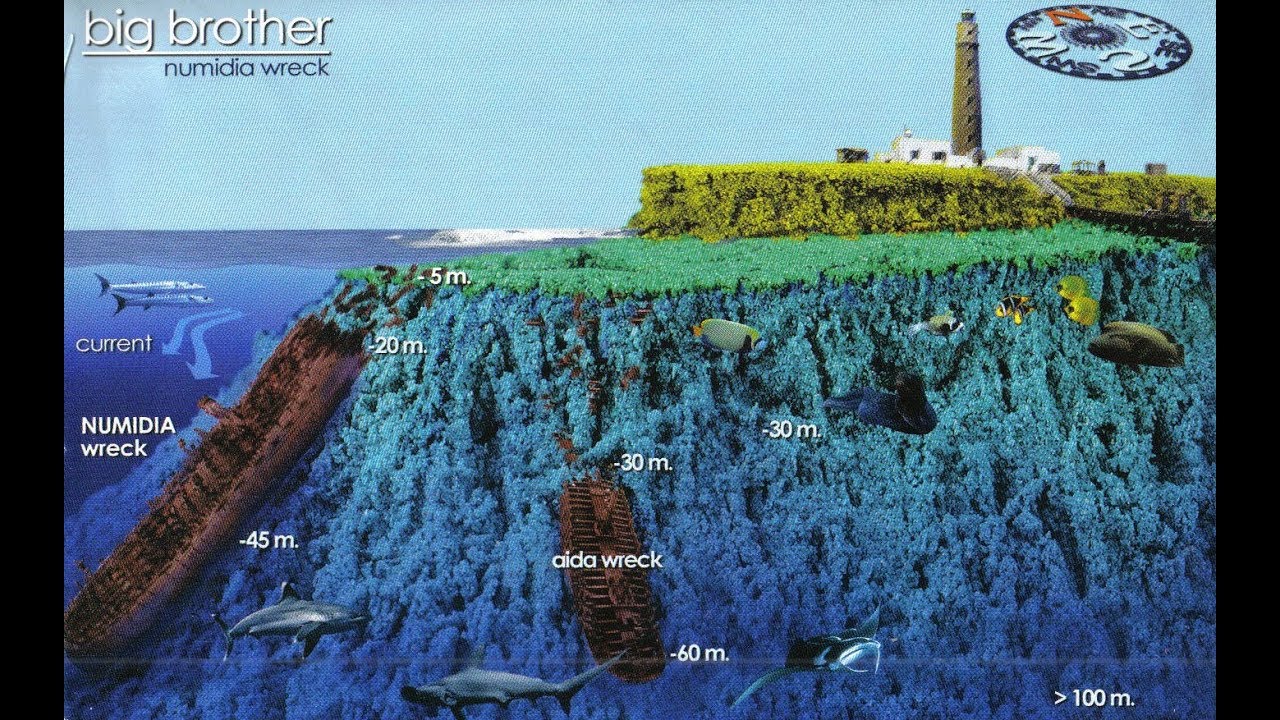 The Numidia Shipwreck - Big Brother Island, Red Sea. Full Penetration