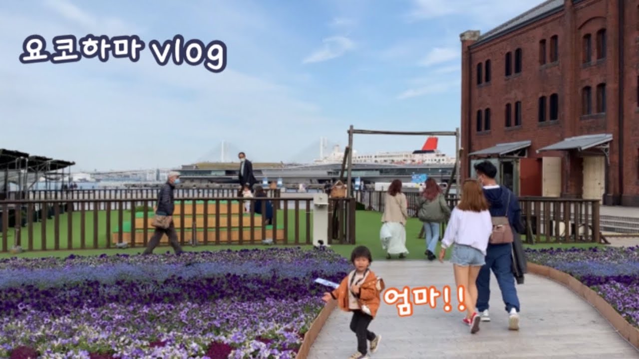 요코하마vlog - 유럽인줄...!! 요코하마 아카렌가, 요코하마 야마시타공원 3살유진이 사진작가 데뷔🥰 日韓夫婦-横浜赤レンガ倉庫、山下公園のチューリップ🌷