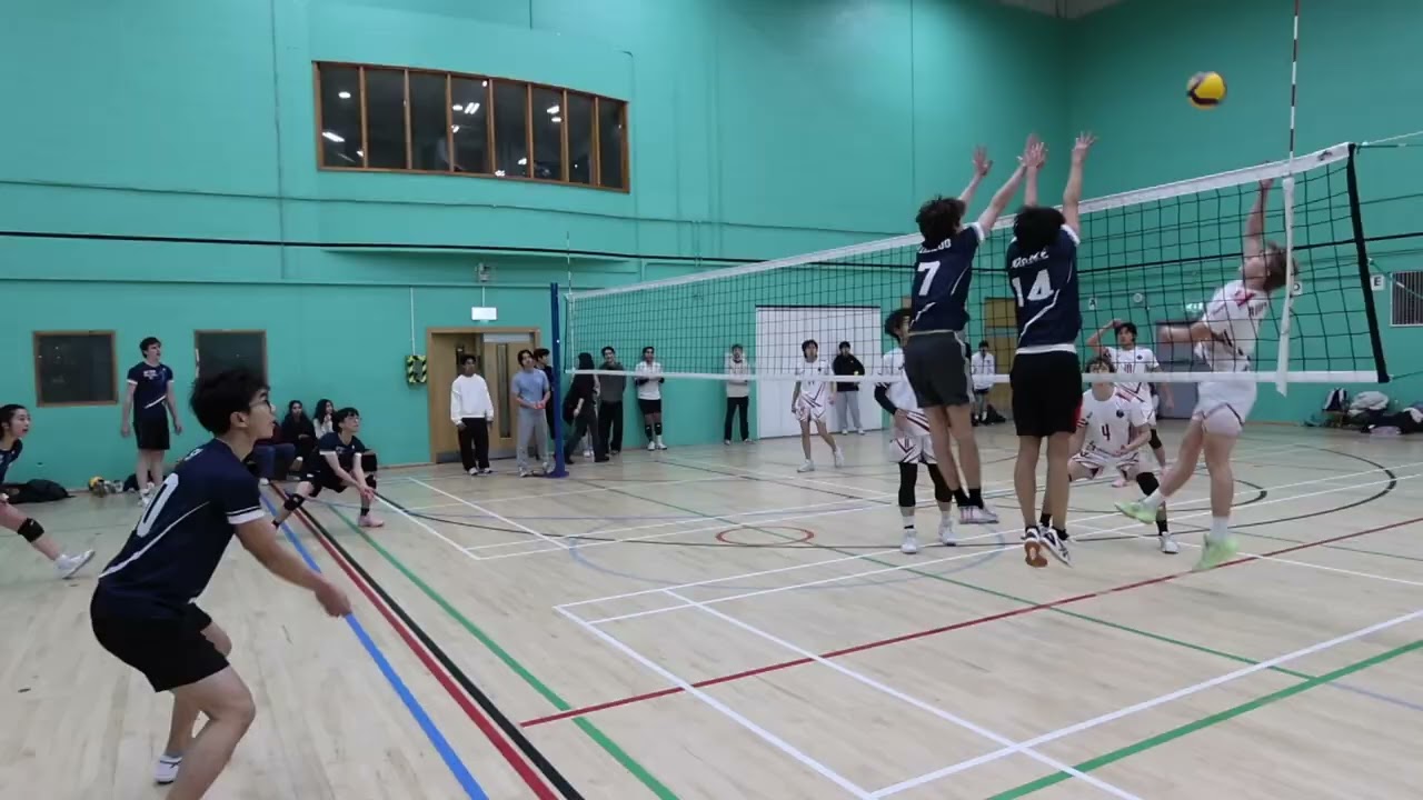 Day 28: Awesomesauce | The final 6 months