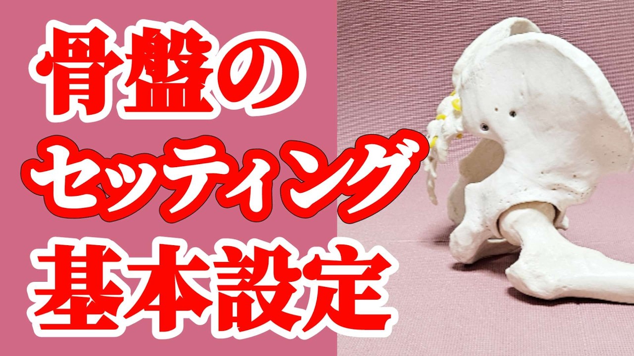 骨盤を中間位に立てる方法！股関節の正しい股割り開脚前屈の運動方法｜三重県桑名市多度町えにし治療院スポーツ整体パーソナルトレーニング