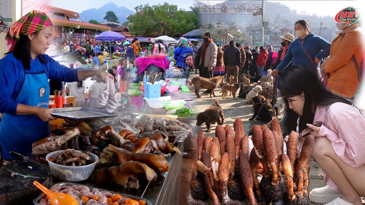 CHỢ PHIÊN CUỐI NĂM – BẮC HÀ | Thảo Dược Rừng – Vật Lạ – Của Quý Hiếm & Ẩm Thực Hấp Dẫn