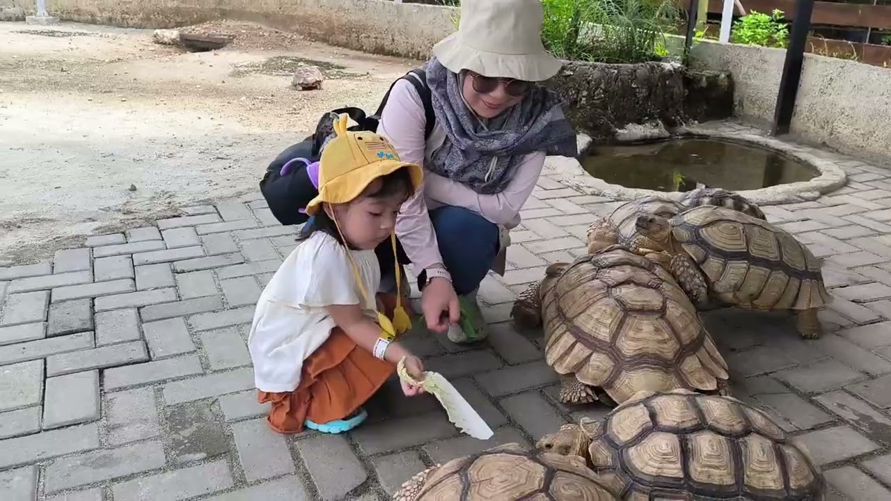 Hana ke Aviary
