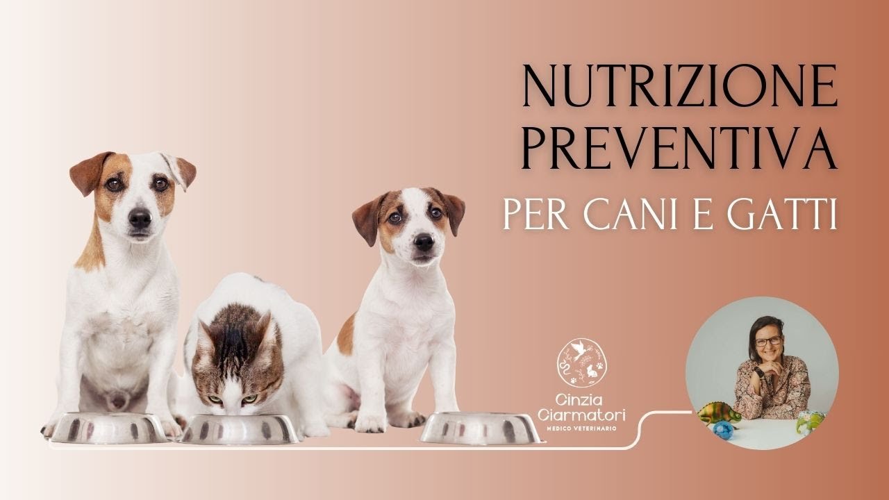 Nutrizione preventiva per cani e gatti: come la dieta può ridurre il rischio di malattie croniche