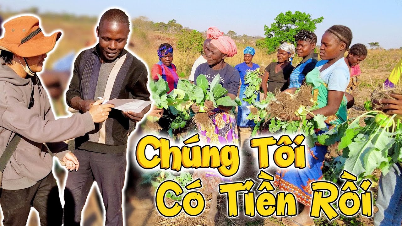 BÁN CHÁY HÀNG Luôn À Anh? Bà Con Náo Nức Thu Hoạch Khi Biết Giá Trị Đắt Đỏ! Có Tiền Triệu Rồi!