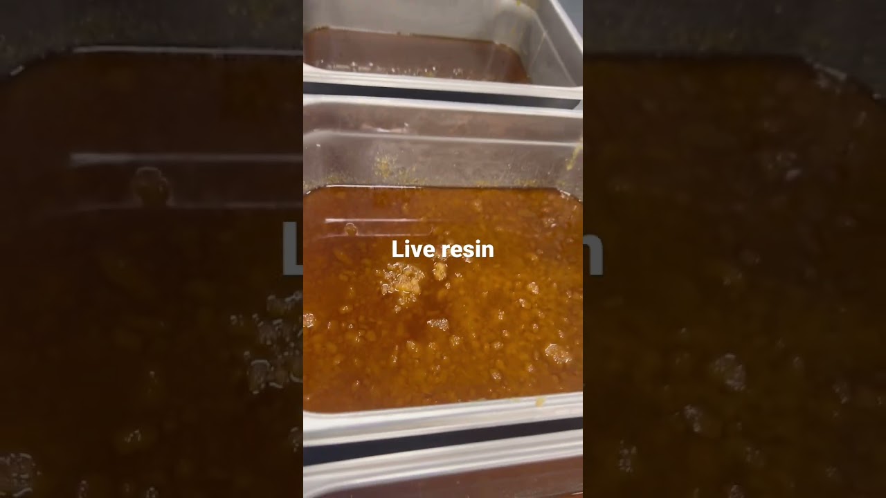 Terpy live resin