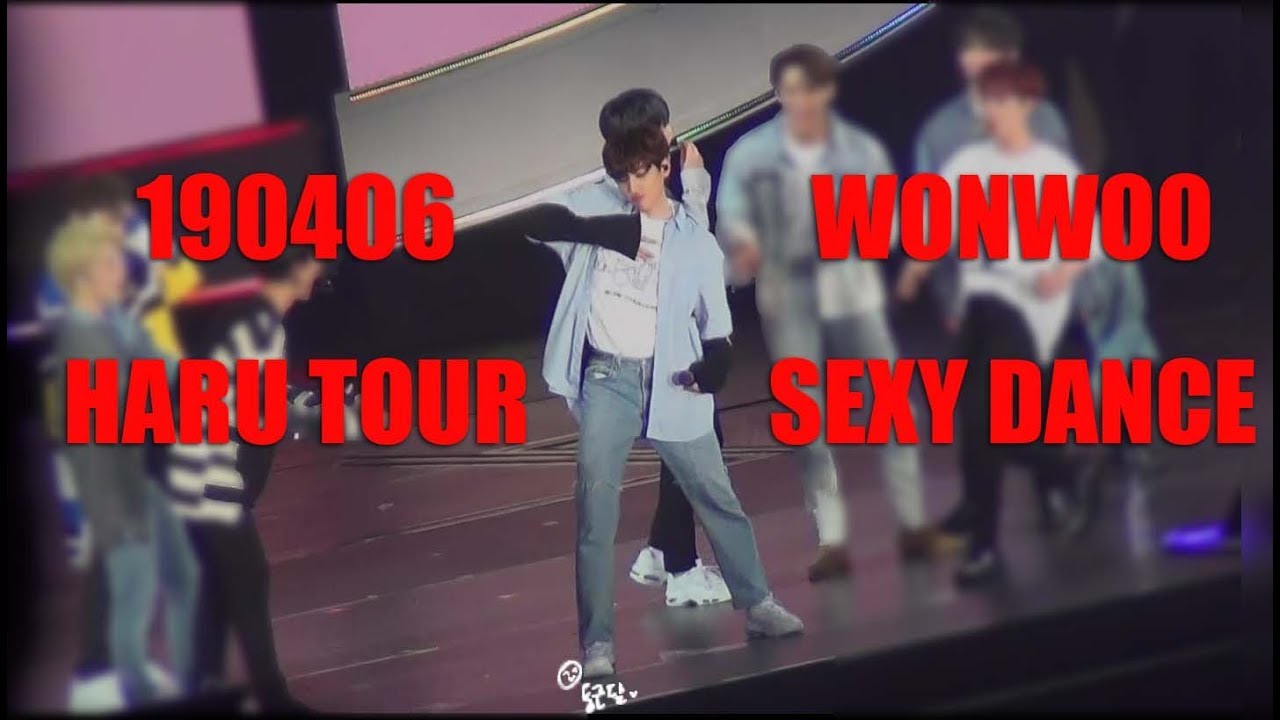 [HD] 190406 HARU TOUR 원우 + 전체 섹시댄스타임