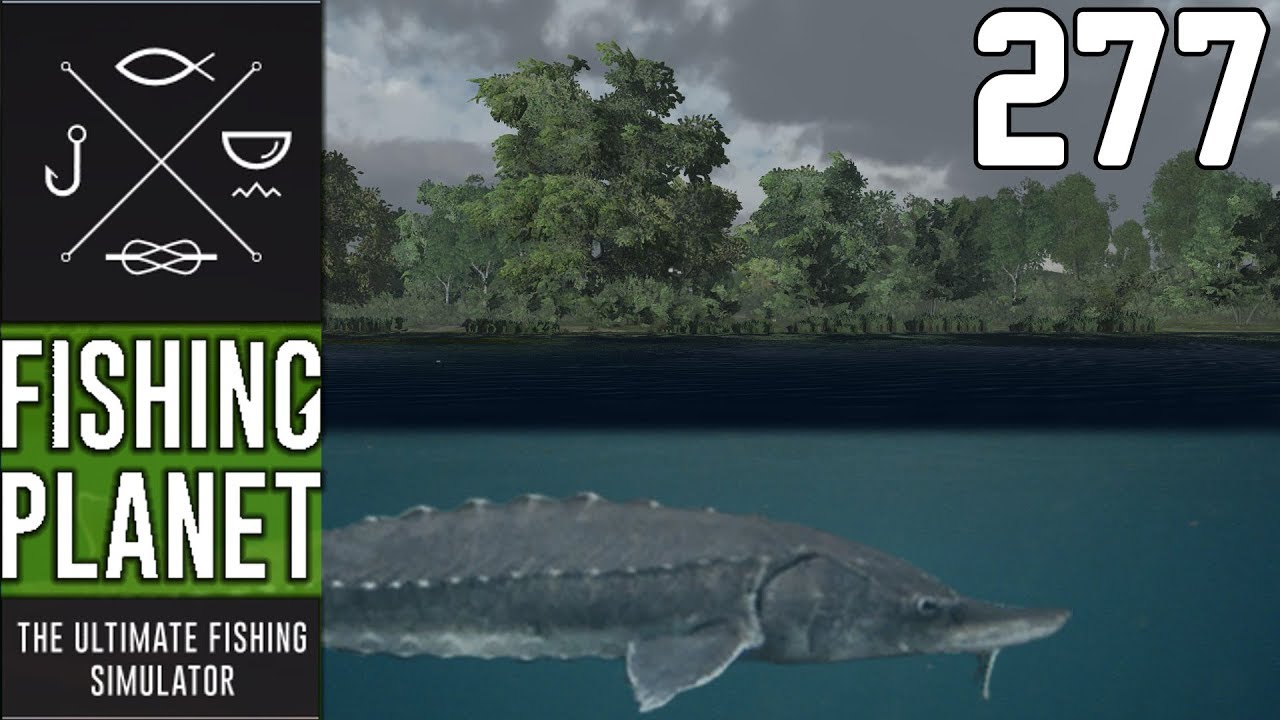 FISHING PLANET #277 - STÖR BEI NACHT MIT DICKER ÜBERRASCHUNG! 🎣  || Let's Play Fishing Planet