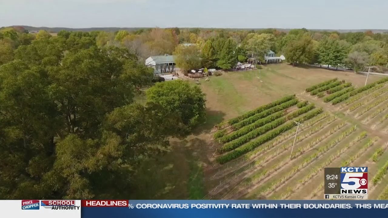 Check out this vineyard in Missouri wine country