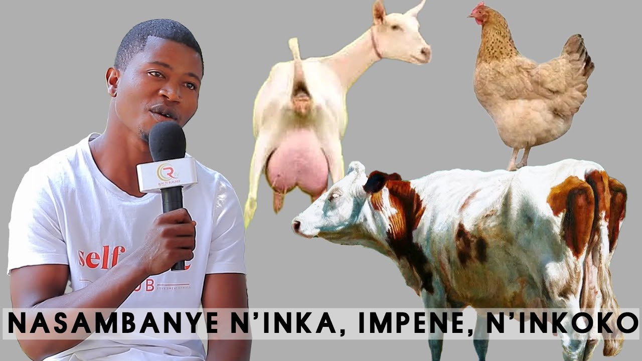 INTAHE::NASAMBANYE- N'INKA/N'IMPENE/N'INKOKO /NAYITEYE INDA YAVYAYE UMUNTU 😱😱😱👆👆