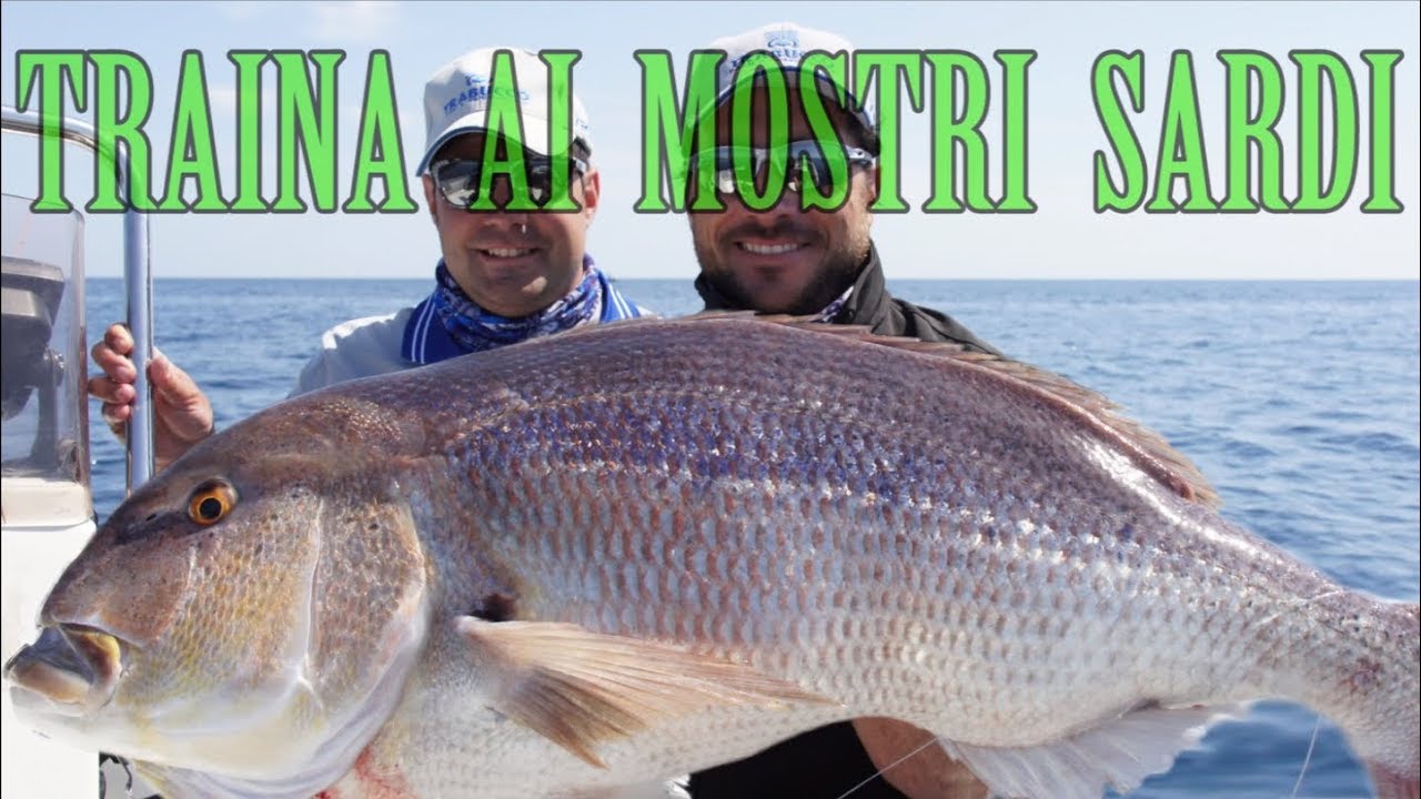 Trabucco TV - Traina ai mostri sardi
