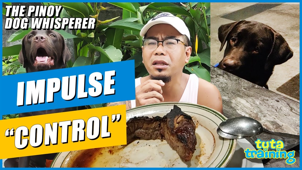 Impulse Control (Food)