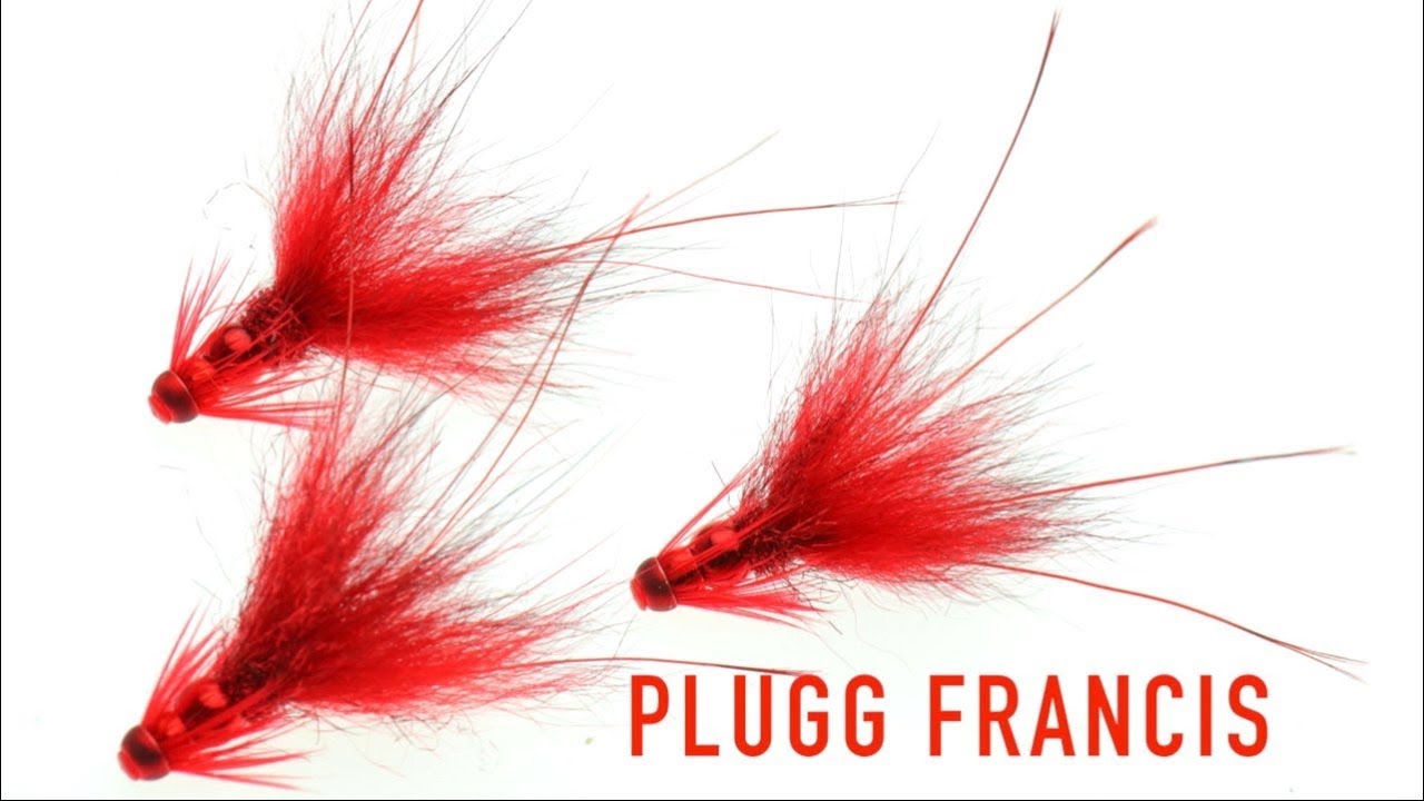 Fast Fly Tying // Plugg Francis