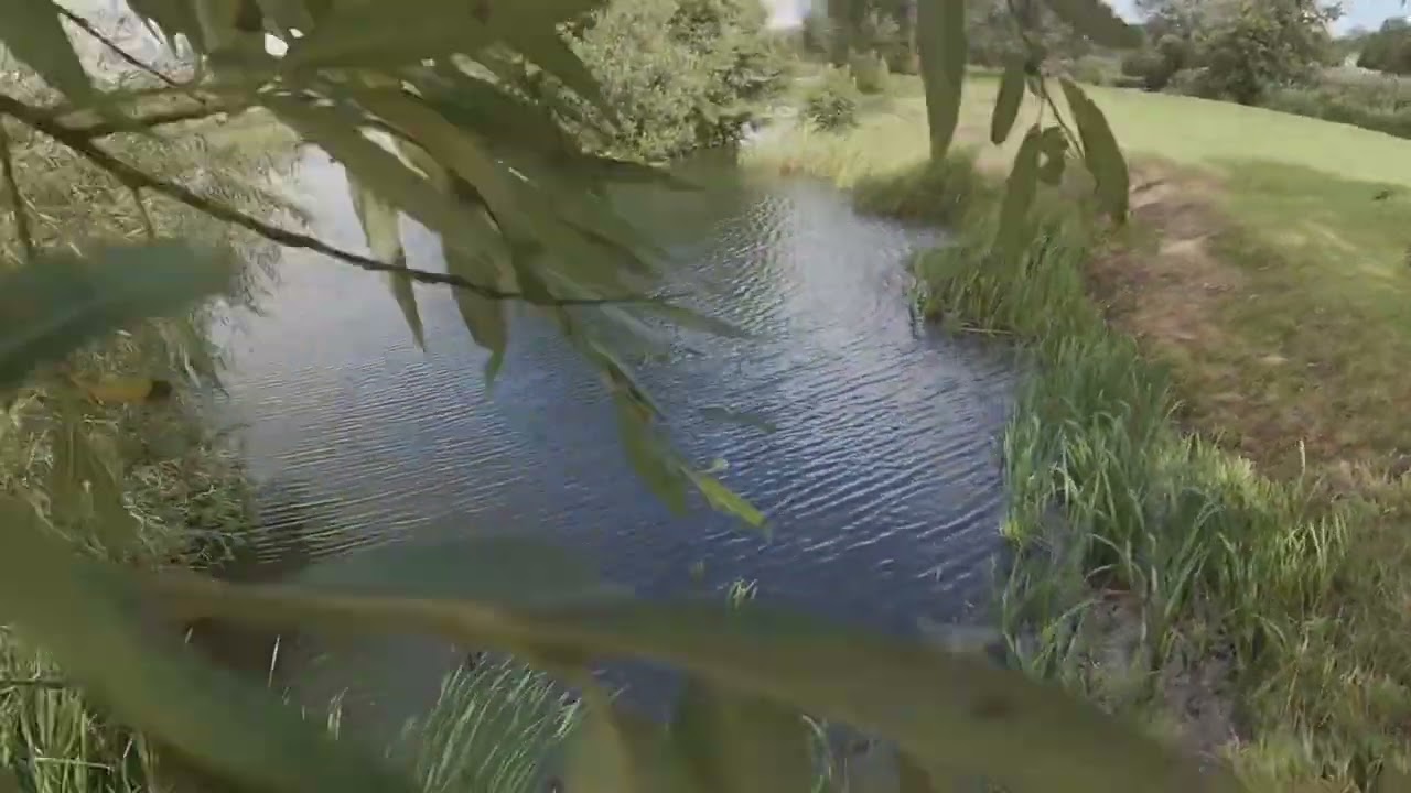 Withern Mill Trout Farm & Fishery