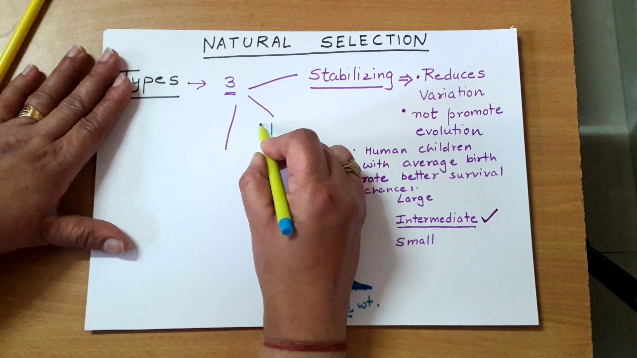 #naturalselection,#directionalselection. Natural selection-Types.