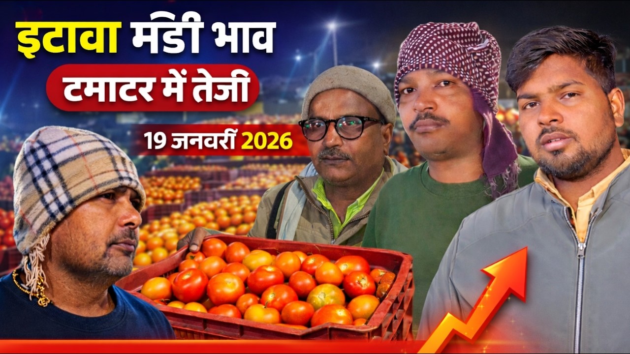 आज का इटावा मंडी भाव | टमाटर के दाम तेज 📈 19 जनवरी 2026