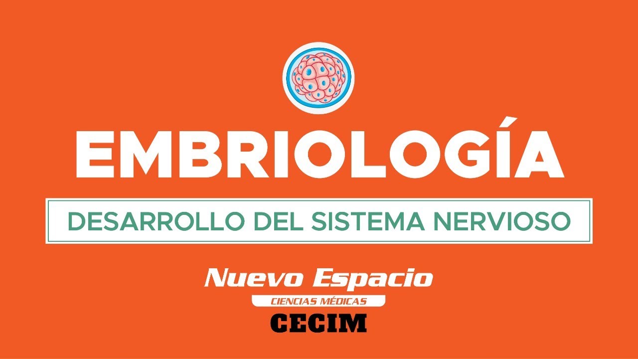 PARALELO DE EMBRIOLOGÍA - DESARROLLO DEL SISTEMA NERVIOSO