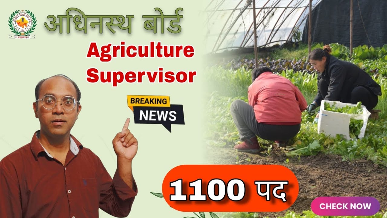 Krishi Paryavekshak New Vacancy 2026: Syllabus, Qualification & Exam Date | Full Details 🚜