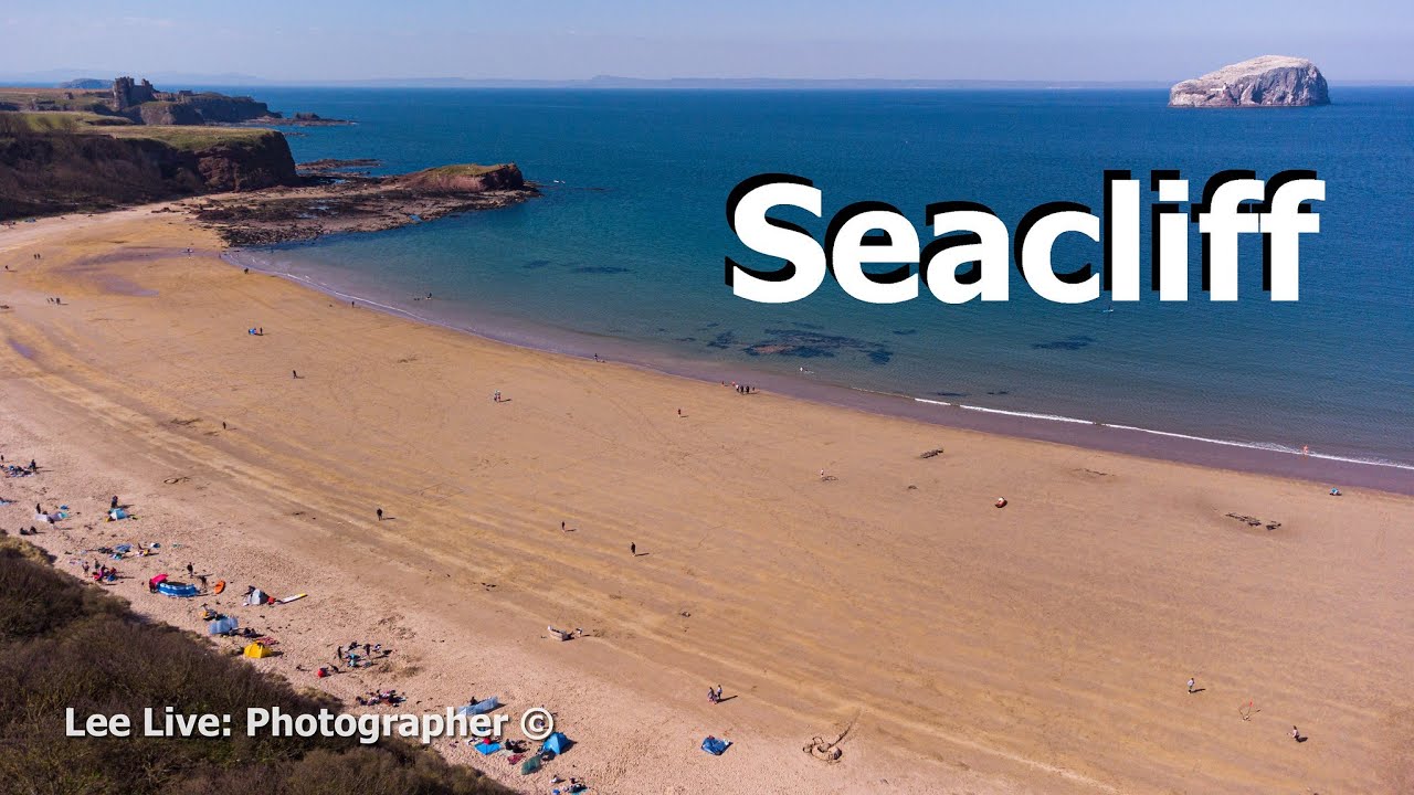 [51] Aerial Drone: Seacliff Beach