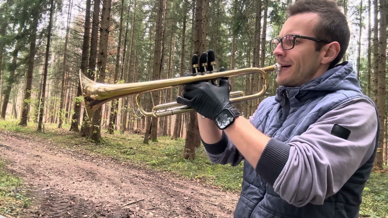 Let it snow on Flügelhorn/Trumpet by Matthias Griesbeck