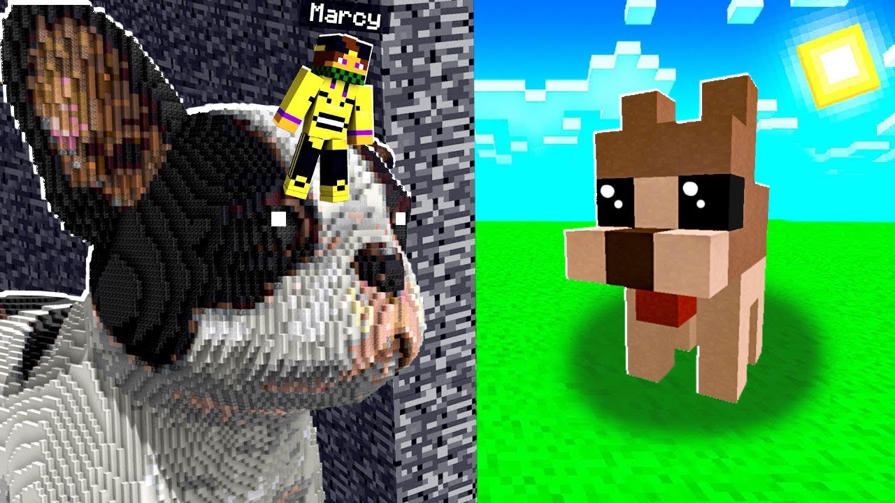 HO IMBROGLIATO NICO NELLA GARA DI COSTRUZIONE DI MINECRAFT