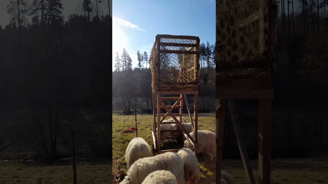 Wegen SchaNa Hochsitz mit eingez&auml;unt #solling #schafe #jagd #f&ouml;rderung