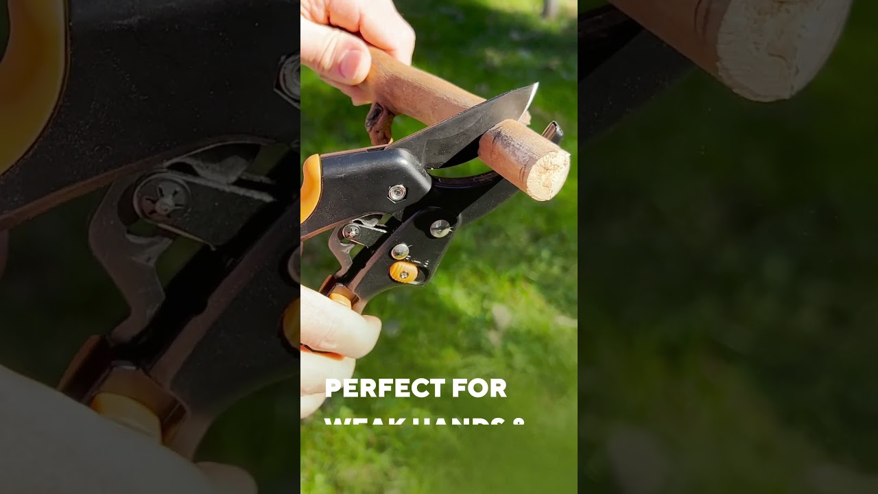 Ratchet Pruning Shears for Gardening & Cutting Thick Branches,Trimming #shorts #garden #short