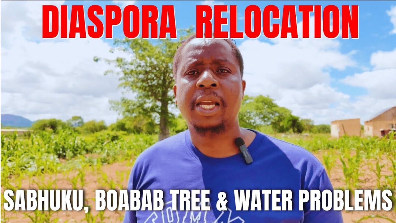 Diaspora Relocation Tales: Catching up with our Sabhuku + Water Problems & the Baobob Tree