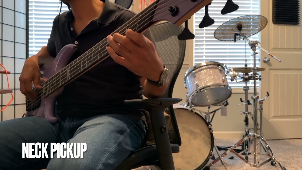 Dingwall Leland Sklar Signature Bass - Demo