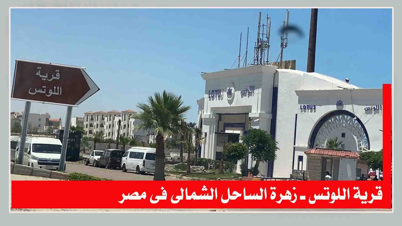 قرية اللوتس ـ رحلة لأعماق الساحل الشمالى ا قناة مصر