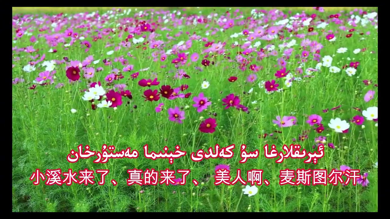 Heavenly Xinjiang: Classic Folk Songs Collection (Part 1)天籁新疆：经典民歌合集（上）  3月8日 2