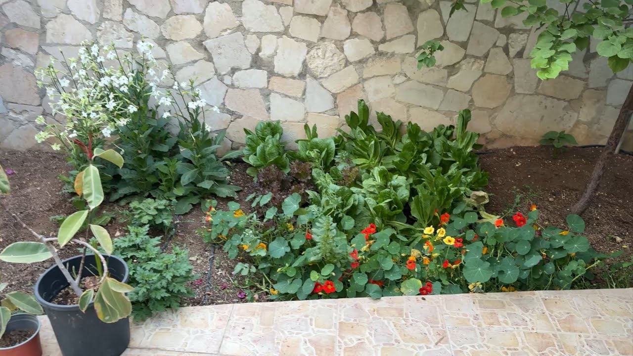 جولة في الحديقة الجزء الرابع
