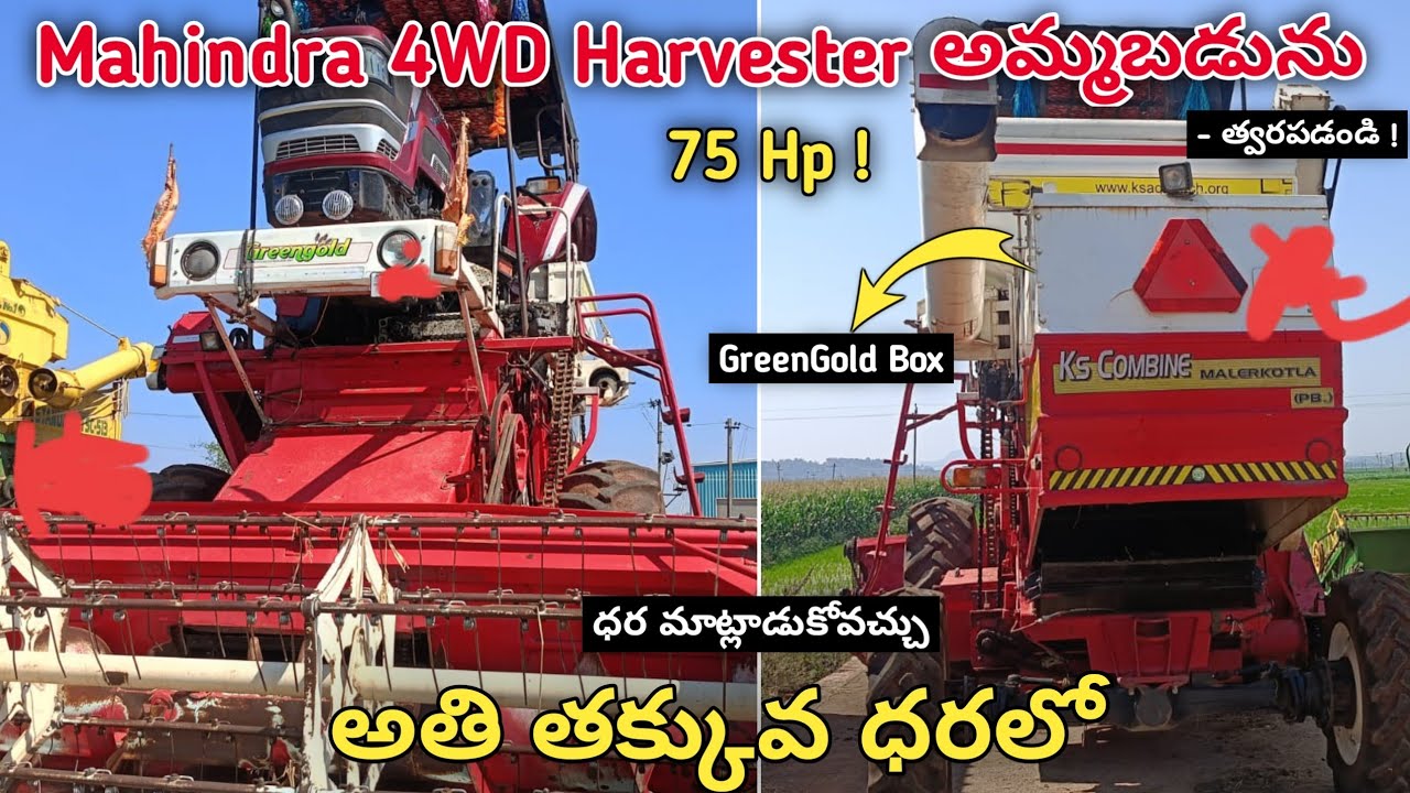Mahindra 4WD GreenGold Box Harvester అమ్మబడును |Low Price | SecondHand Harvester For#sale #harvester