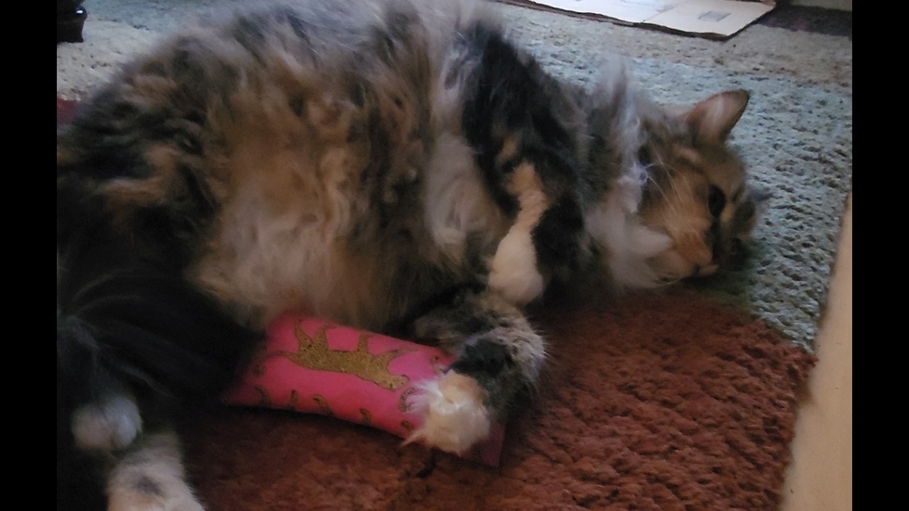Pink pillow 4 20