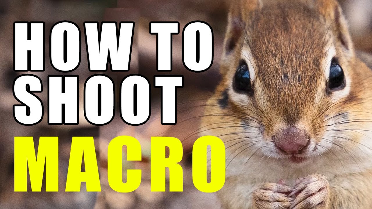 How to shoot macro spring photos like a pro!