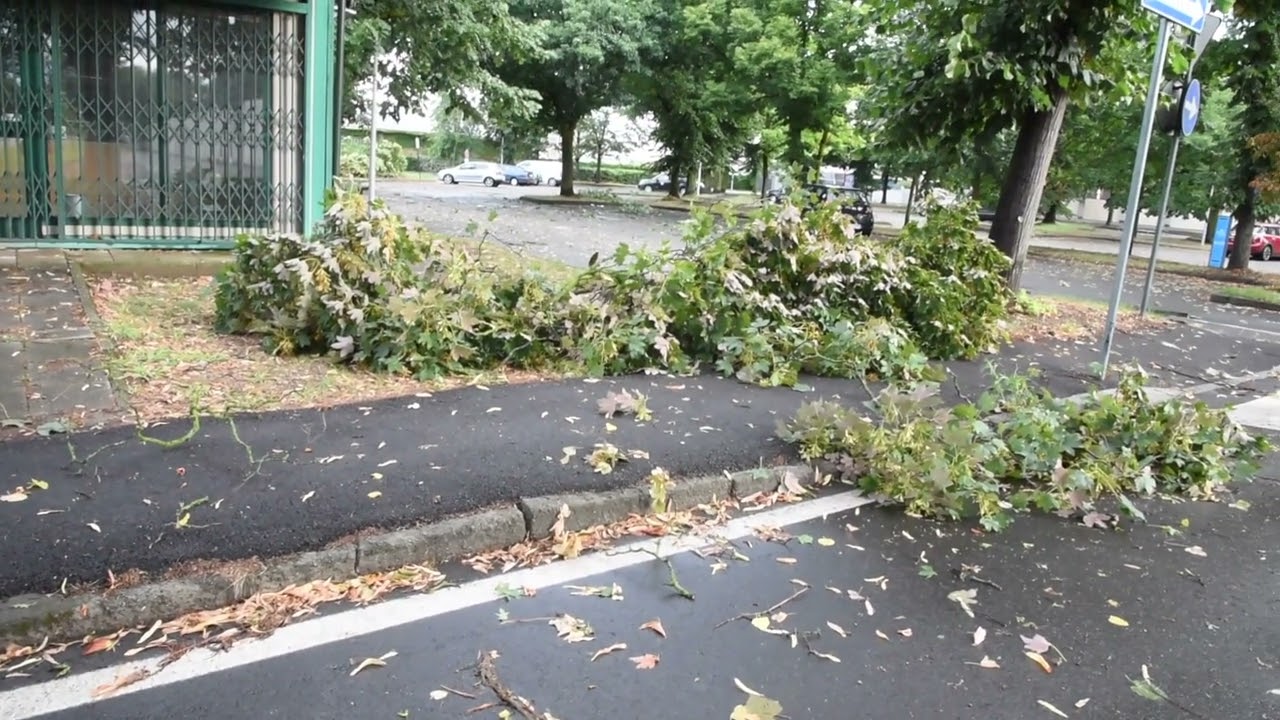 Maltempo a Vigevano: alberi caduti e danni. Gravi disagi per chi deve viaggiare in treno