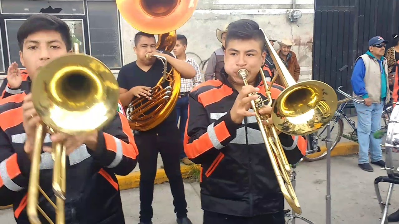 Desgarradora banda felinos en la salva de Huejotzingo