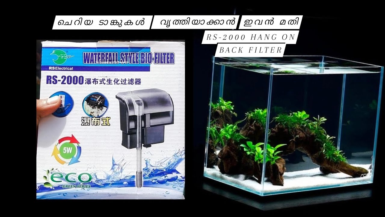 How to choose for a nano planted aquarium | മലയാളം#aquarium #aqua #malayalam #kerala #guppykerala