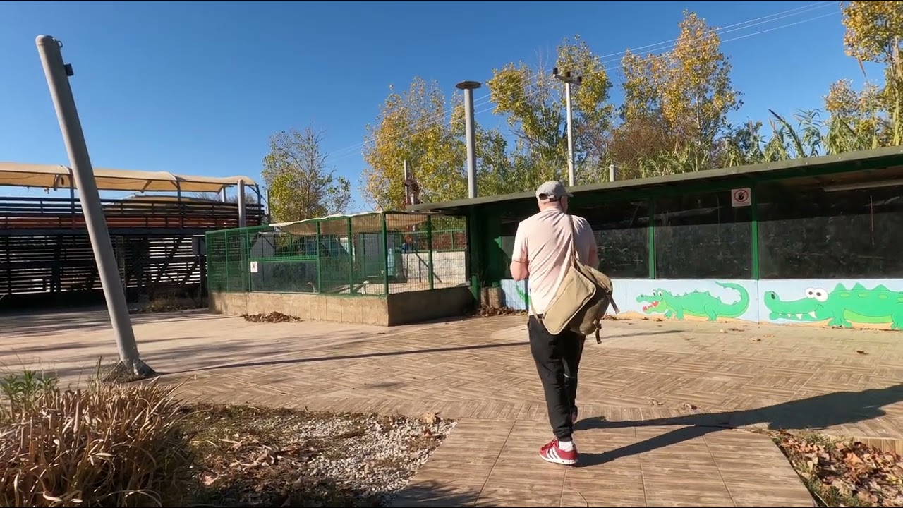 the land of lions side