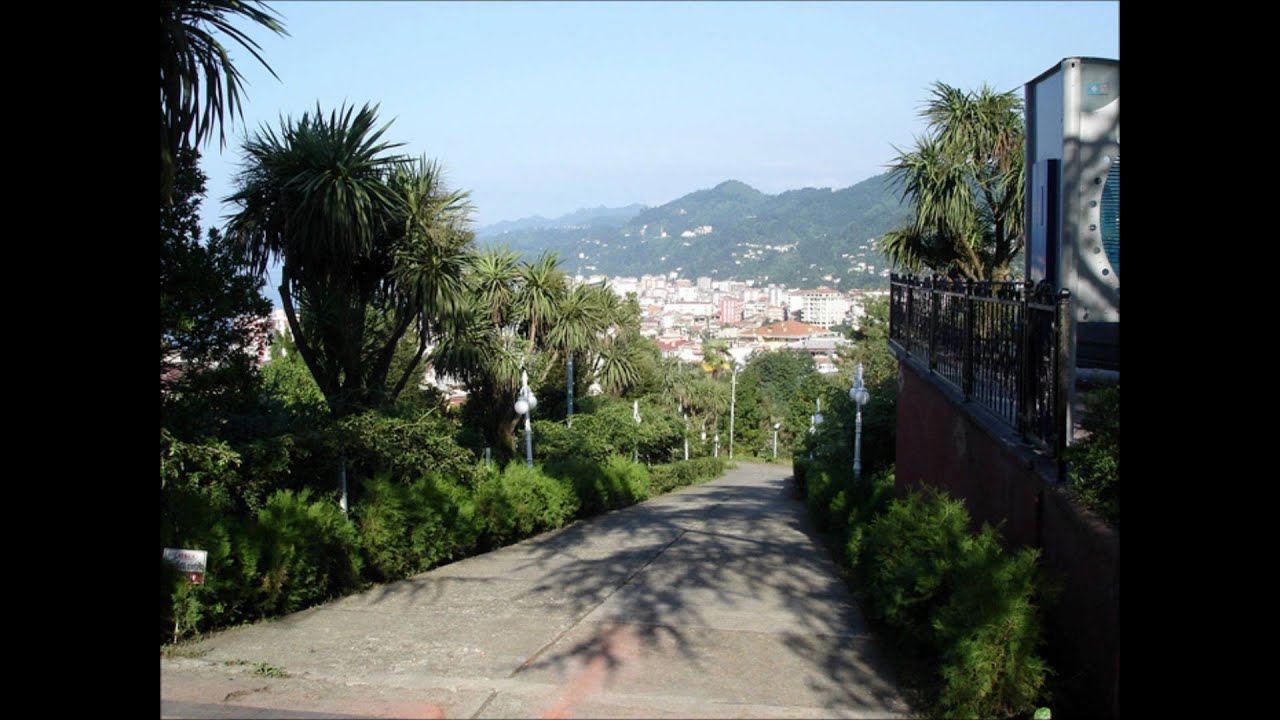 RİZE ORG TİTREME HORON
