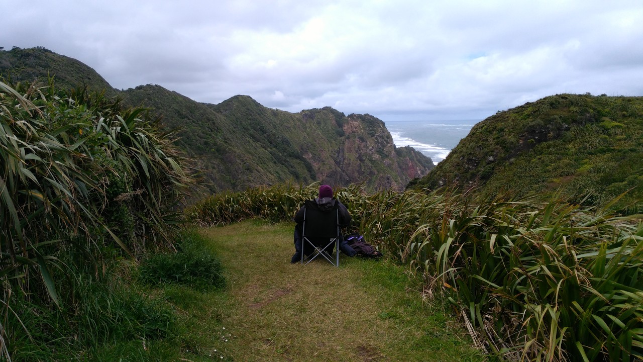 Walk: Mercer Bay loop, Piha, (Waitakere Ranges).